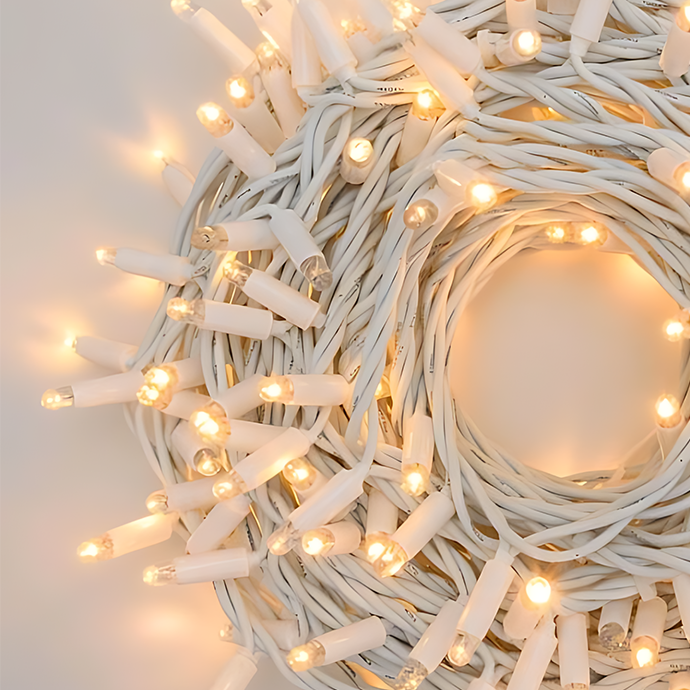 Lauko ir vidaus girlianda (LED lemputės) 10 m PROLED balta